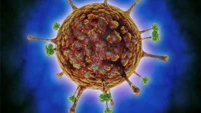  استشاري طب الأطفال يوضح طرق وقاية الأطفال من إصابة فيروس نيباه