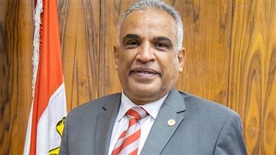 قرار جمهوري بتعيين الدكتور محمد حسين عميدًا لكلية الهندسة بجامعة طنطا