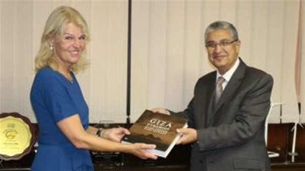 وزير الكهرباء يستقبل