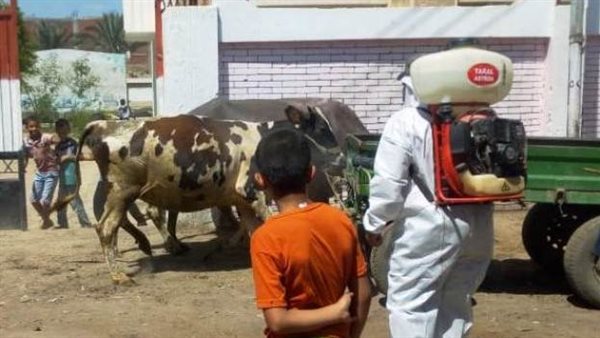 مركز ومدينة الحسينية