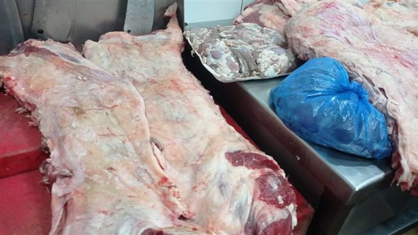 حملات تموينية - أرشيفية