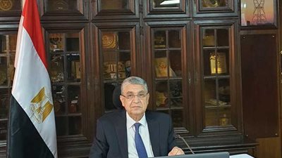 الكهرباء: نخطط للتحول إلى الشبكات الذكية ونقل الخبرات السويدية لمصر