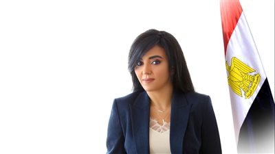 عضو خارجية الشيوخ: الربط الكهربائي مع أوروبا يدعم مصر في المحافل الدولية