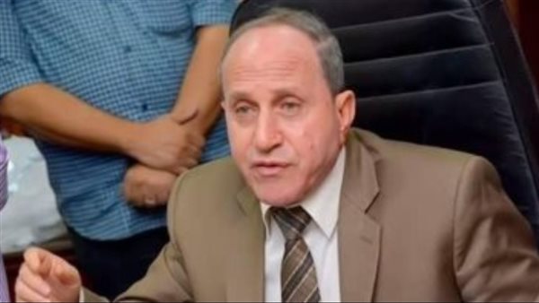 المهندس محمد السيد