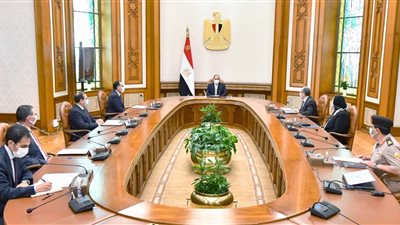 السيسي يوجه برفع كفاءة منظومة الخدمات والمنتجات البترولية لدعم الاقتصاد الوطني