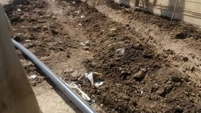 رئيس مدينة ملوى بالمنيا يتابع جهود الوحدات المحلية القروية بكافة القطاعات الخدمية ضمن مبادرة «حياة كريمة »