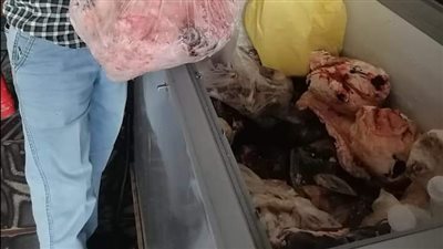 ضبط مصنعي حلويات دون ترخيص و11 جزارا للذبح خارج المجازر في البحيرة