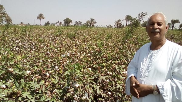 نقيب الفلاحين