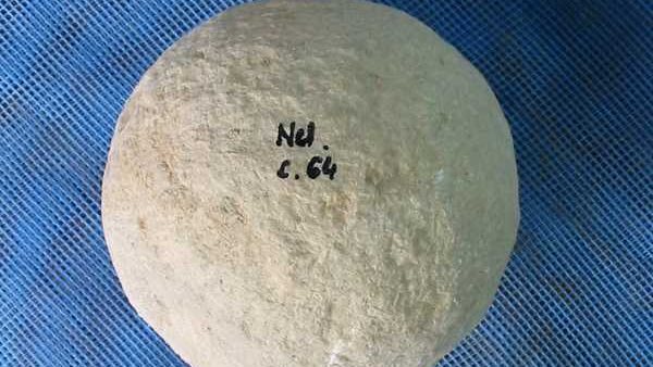  قذيفة منجنيق تعود