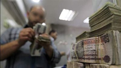 التنظيم والإدارة: ترقية 589 موظفا بمركز المعلومات ودعم اتخاذ القرار