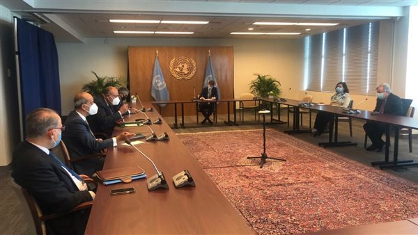 سامح شكري وأمين عام