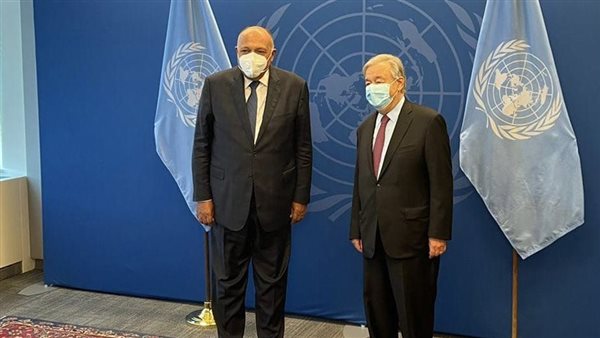 سامح شكري وأمين عام