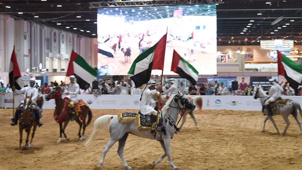 معرض الخيول بأبو