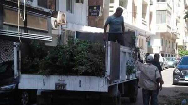 رفع كفاءة الحدائق