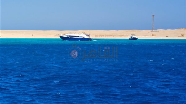 نشاط ملحوظ لممارسة