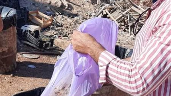  حملة بمدينة شرم