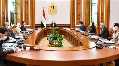 السيسي يوجه بتوفير كافة الموارد المالية اللازمة لدعم وتطوير صناعة الدواء في مصر