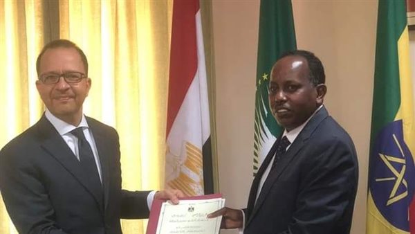 السفير المصري في