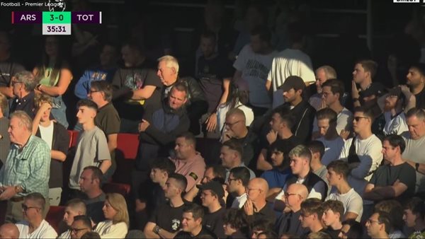 جماهير توتنهام