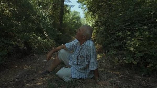 مشهد من الفيلم 