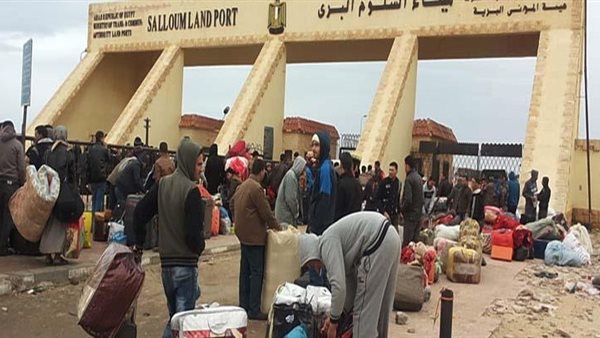 العمالة المصرية 