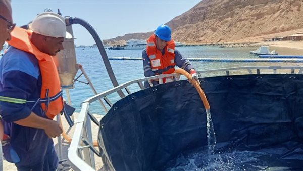 المراجعة البيئية