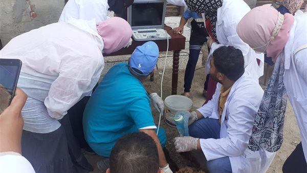 القوافل البيطرية