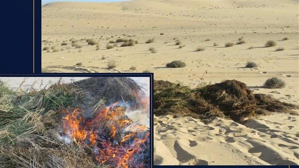 جانب من المضبوطات