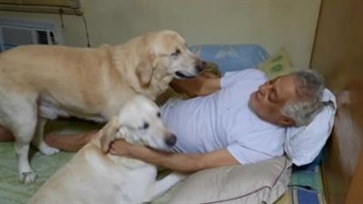 توفيق عبد الحميد: كلابي أكتر 2 شاركوني الحياة في الـ 10 سنوات الأخيرة