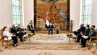 متحدث الرئاسة: تنسيق مصري برازيلي لدعم قضايا نزع السلاح وعدم الانحياز