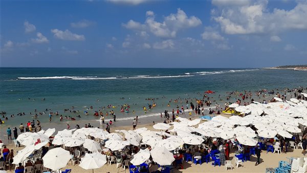 هدوء على شواطئ الإسكندرية