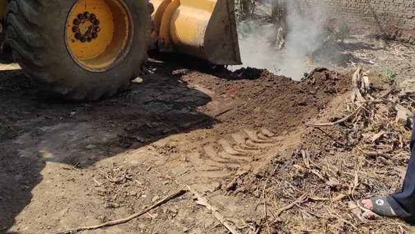 إزالة التعديات بالدقهلية