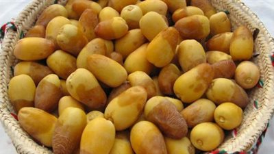 الفوائد الصحية للبلح البرحي وأضراره على الجسم.. 5 فئات تحذر تناوله