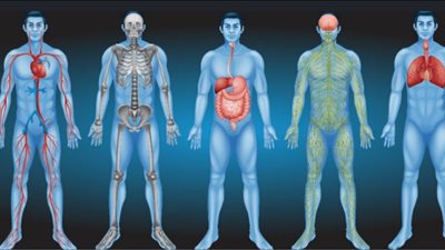 فتاة الأشعة السينية خارقة للطبيعة.. تحدد حالة المرضى من صورهم وموهبتها ظهرت بعمر العاشرة 
