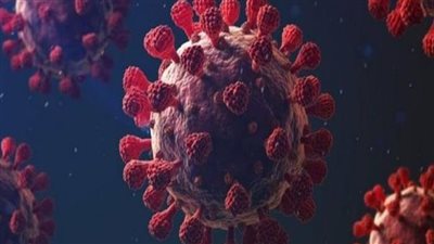 مدير عزل مستشفى المنشاوي بطنطا: متحور كورونا الجديد سريع الانتشار ويُصيب الأطفال