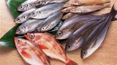 الجمبري يبدأ من 60 جنيهًا والدنيس بـ100.. أسعار السمك في سوق الأنصاري بالسويس