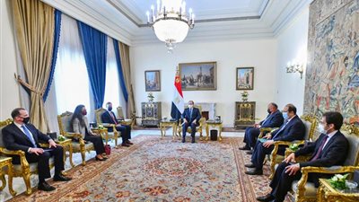 السيسي: حل القضية الفلسطينية ينعكس على تطور وتغيير واقع المنطقة