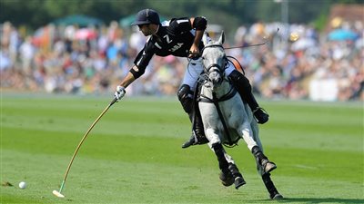 مباراة بولو.. أولى منافسات مهرجان الخيول العربية الأصيلة بالشرقية 