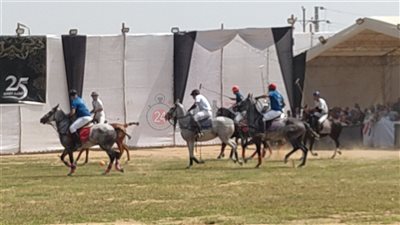 انطلاق اليوبيل الفضي لـ مهرجان الشرقية للخيول العربية | صور وفيديو