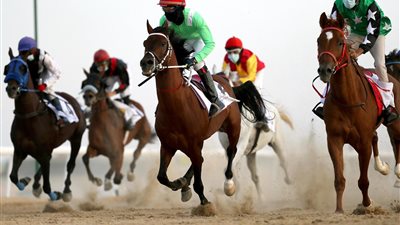 مهرجان الظفرة يستعرض مسابقاته التراثية في معرض أبوظبي الدولي للفروسية