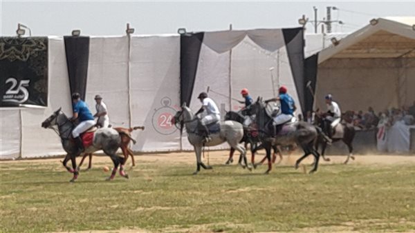 مهرجان الشرقية للخيول