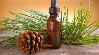 يحتوي على العديد من المميزات.. تعرَّف على فوائد زيت الصنوبر للوجه والمفاصل 