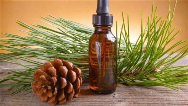 زيت الصنوبر