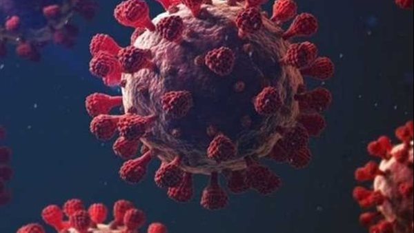 فيروس كورونا-أرشيفية