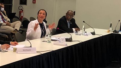 وزيرة البيئة تطالب بضرورة النظر في قضايا التكيف من منظور مختلف لتلبية احتياجات الدول