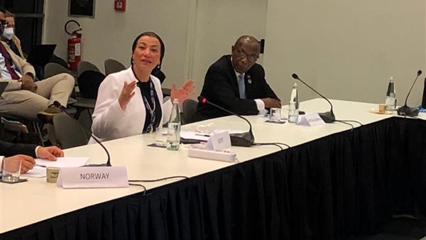 ياسمين فؤاد وزيرة