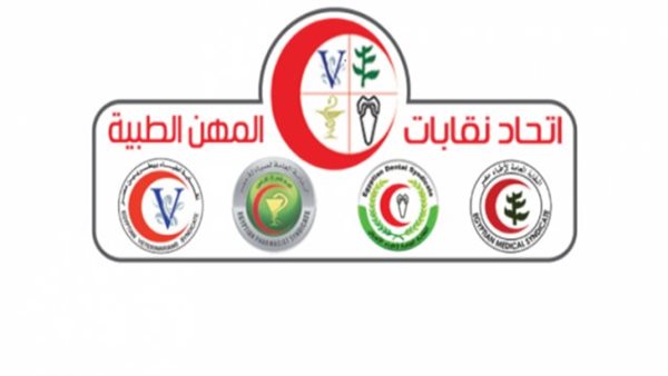 اتحاد نقابة المهن