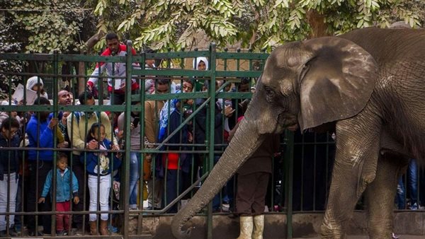 حديقة الحيوان
