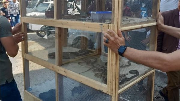  ضبط ثعابين وزواحف