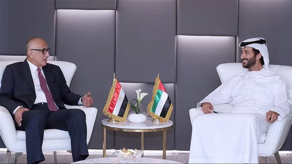 محافظ البنك المركزي